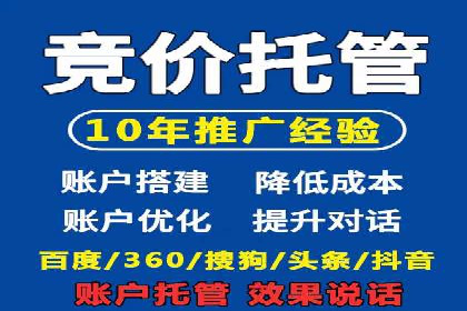 百度广告投放策略优化及成功案例解析